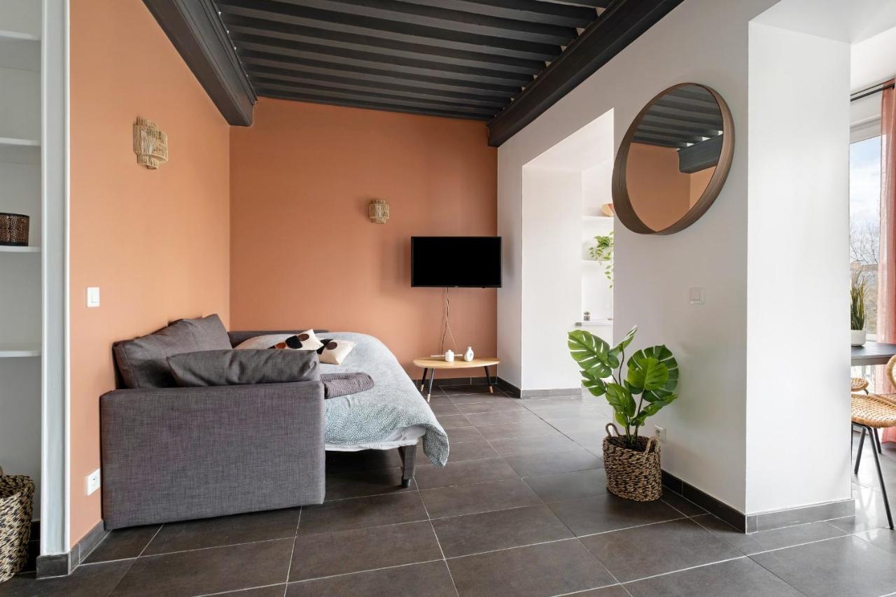 Lyon Cite- Appartement Vue Rhone Terrasse-Caluire Exteriör bild